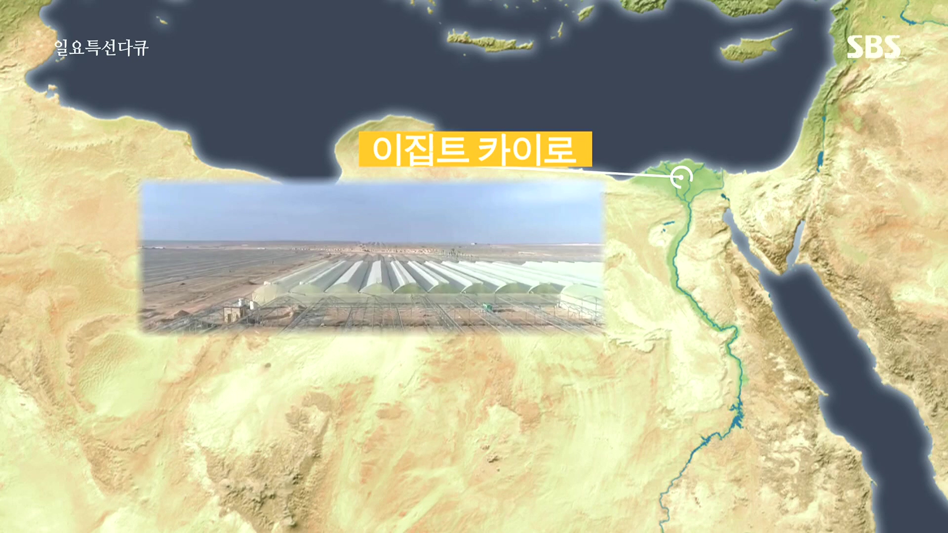 일요 특선 다큐멘터리.E348.240804p.H264-F1RST.mp4_20240805_195223.094.jpg