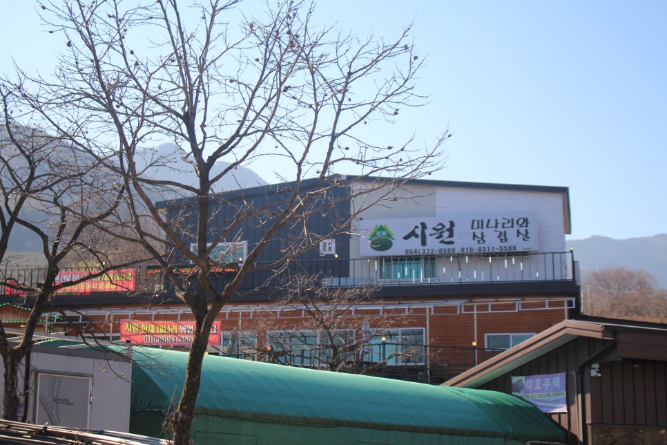 청도 먹은 미나리 17