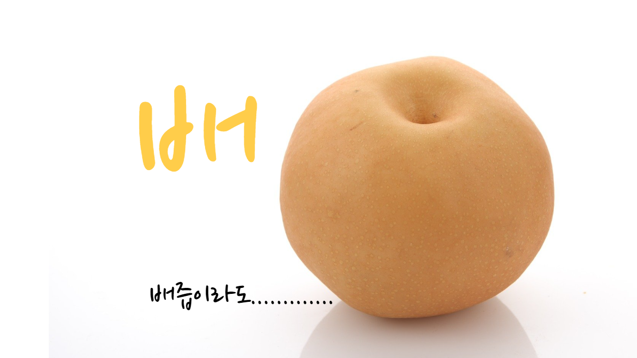  배