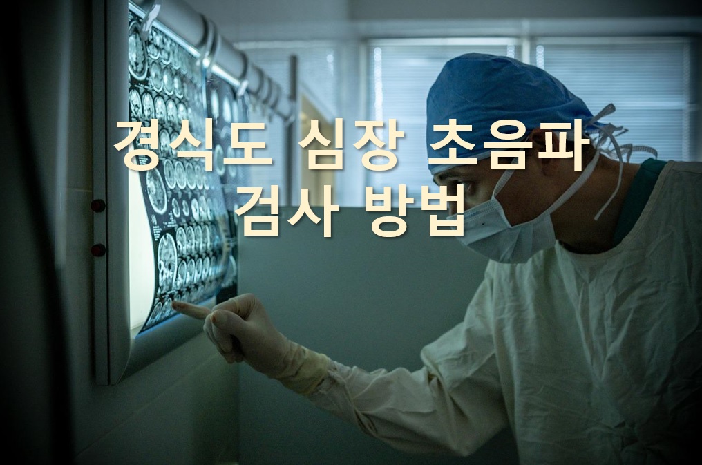  심장의 상태를 알아보는 경식도 심장 초음파 검사 방법