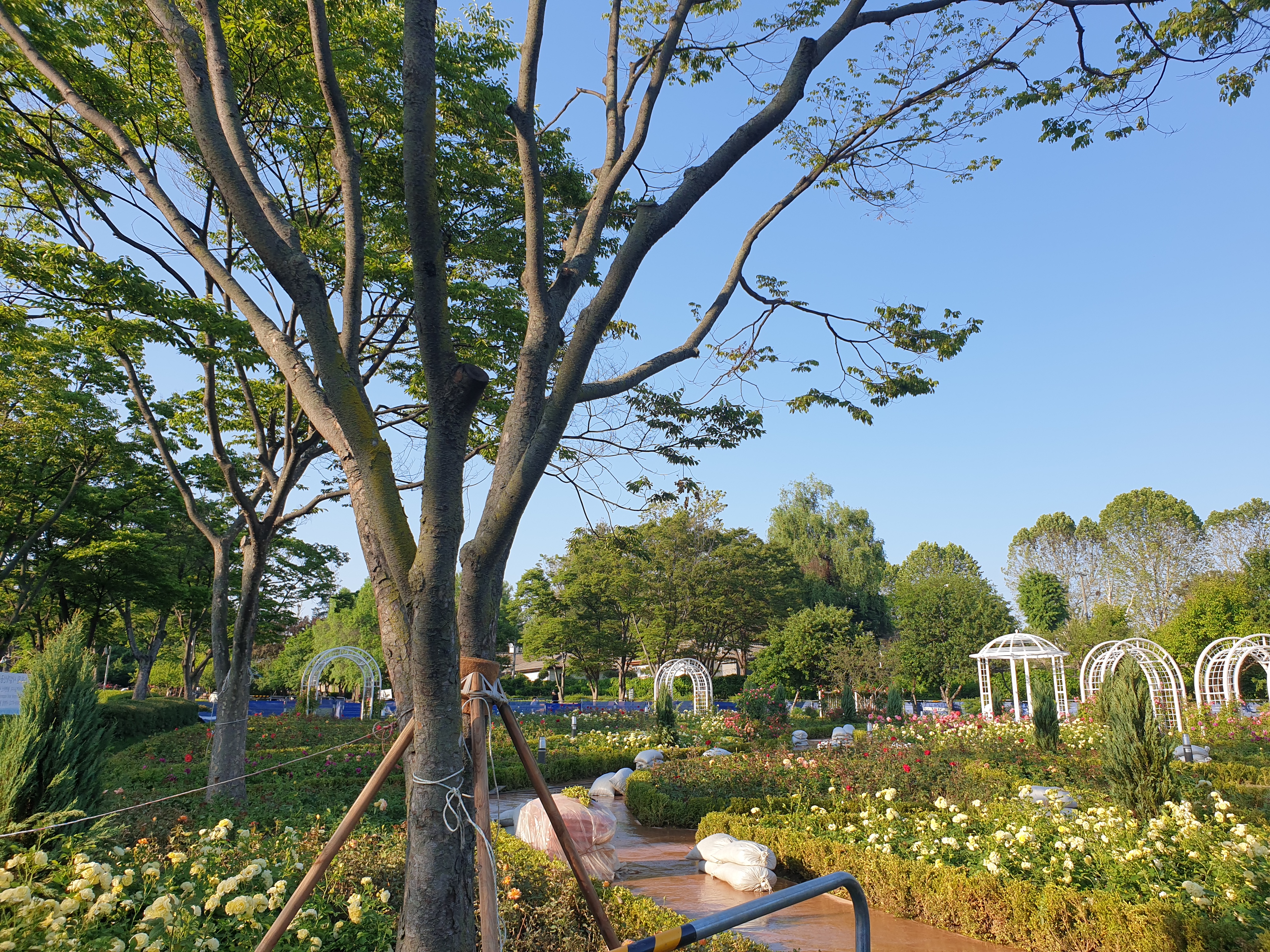 용산가족공원 뷰
