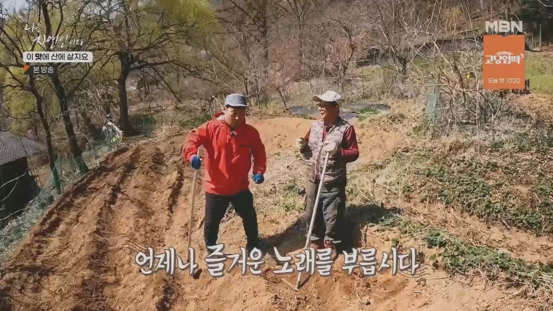 나는 자연인이다.E550.230419p.H264-F1RST.mp4_20230420_195649.364.jpg