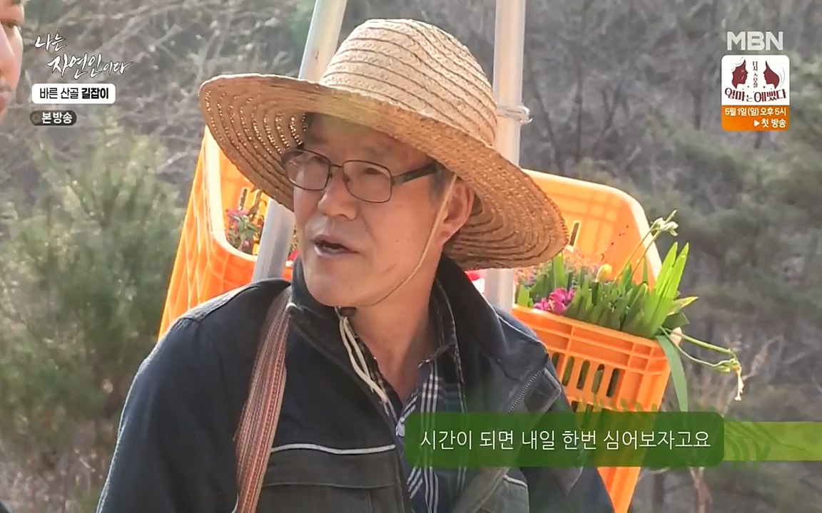 나는 자연인이다.E499.220428p-NEXT.mp4_20220428_175945.484.jpg