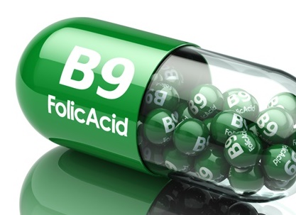 b9 folic acid