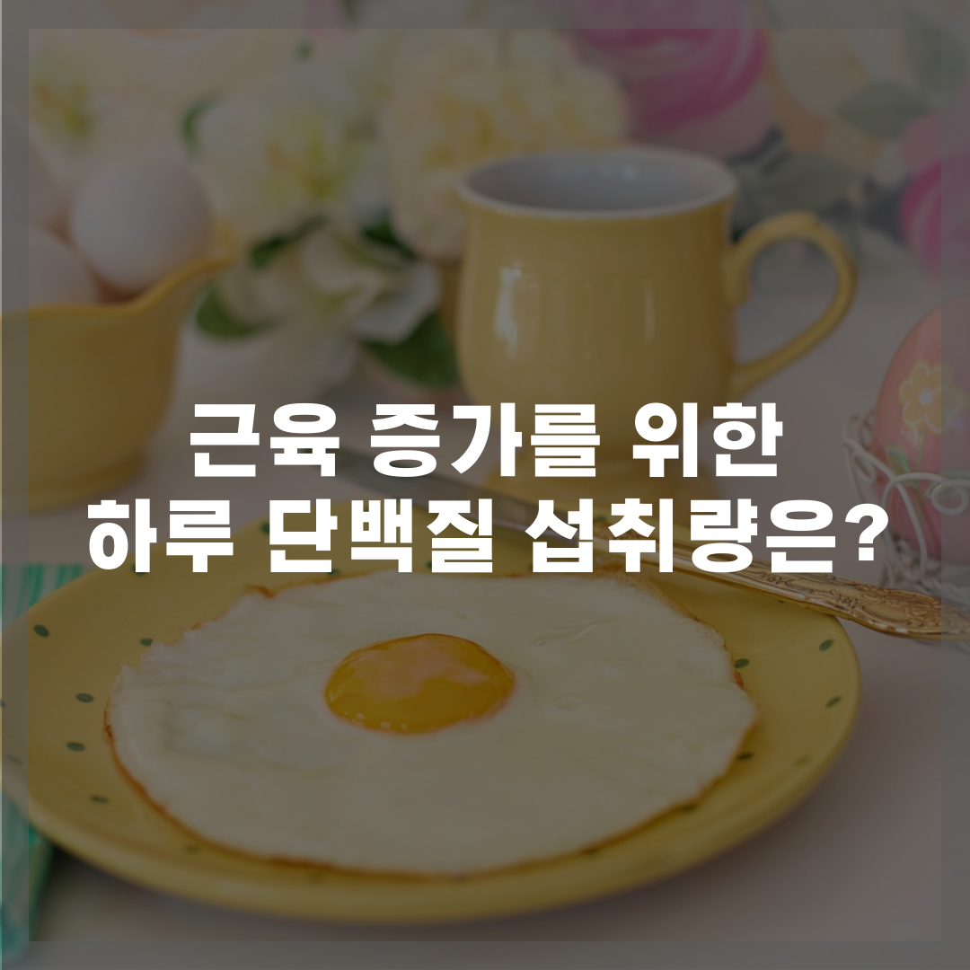 근육 증가를 위한 하루 단백질 섭취량은?