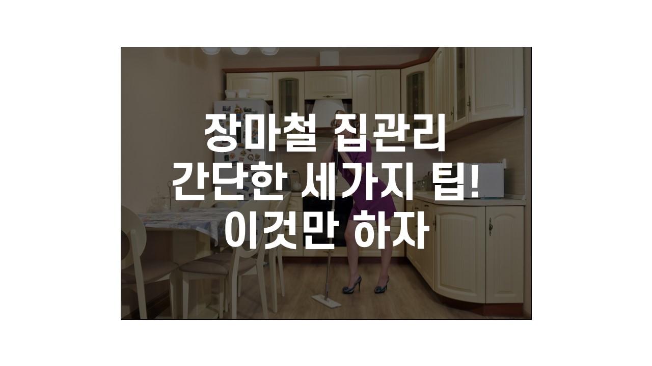  2022년 장마철 집관리 돈들이지 말자 곰팡이 제거제와 제습제 버리기