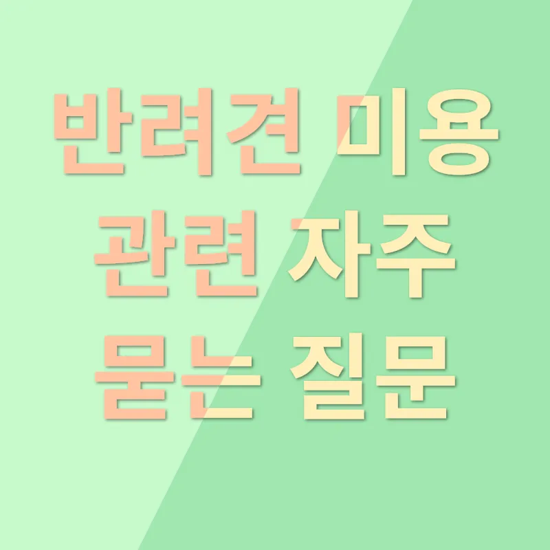 반려견 미용_4