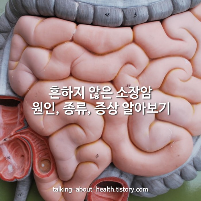 흔하지 않은 소장암 원인&#44; 종류&#44; 증상 알아보기