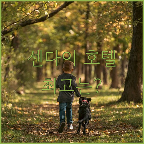 센다이 호텔 고민 끝! 위치, 청결,