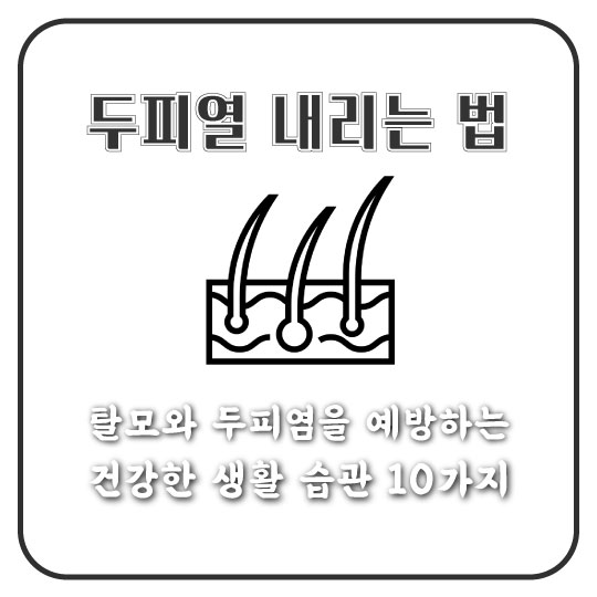  [두피열 내리는 법] 탈모와 두피염을 예방하는 건강한 생활 습관 10가지