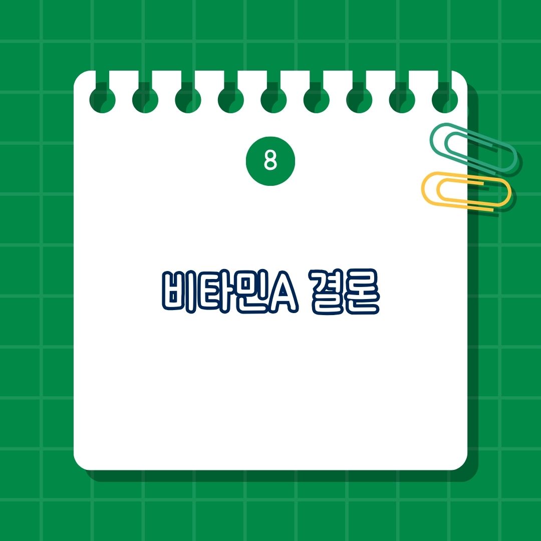 비타민A 결론