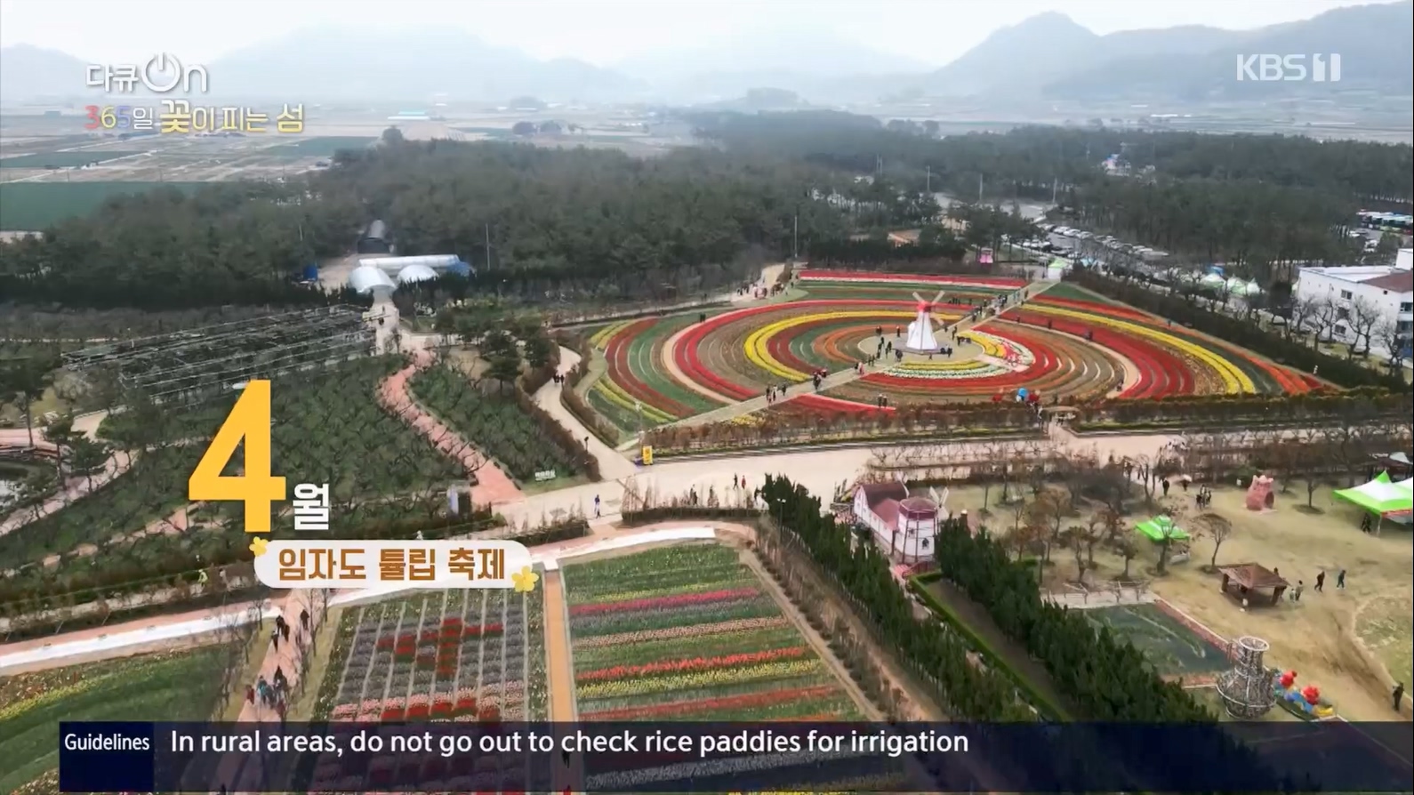 다큐 On.E201.230610p.H264-F1RST.mp4_20230611_164648.374.jpg