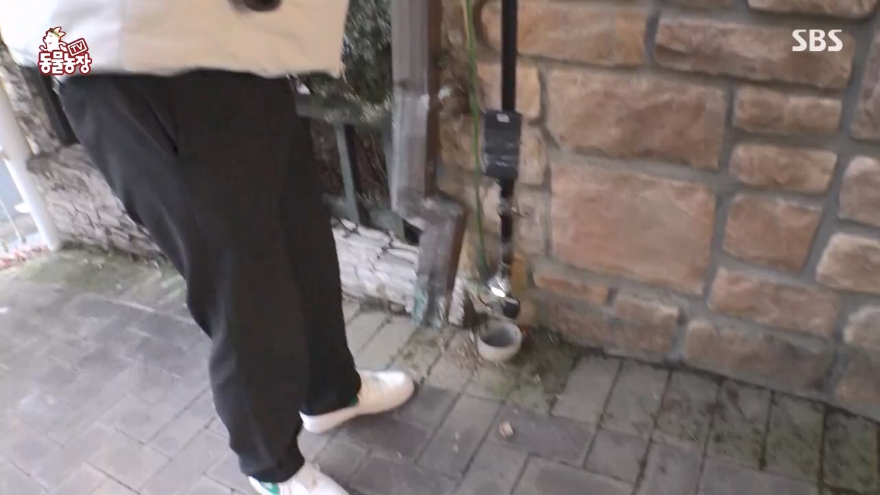 TV 동물농장.E1156.240129p-NEXT.mp4_20240128_191742.272.jpg