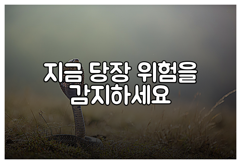 지금 당장 위험을 감지하세요