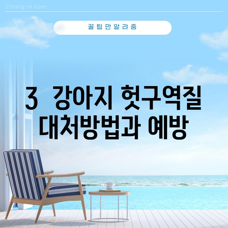 3.  강아지 헛구역질, 대처방법과 예방