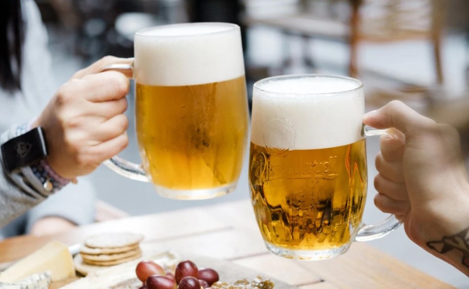 맥주-건배