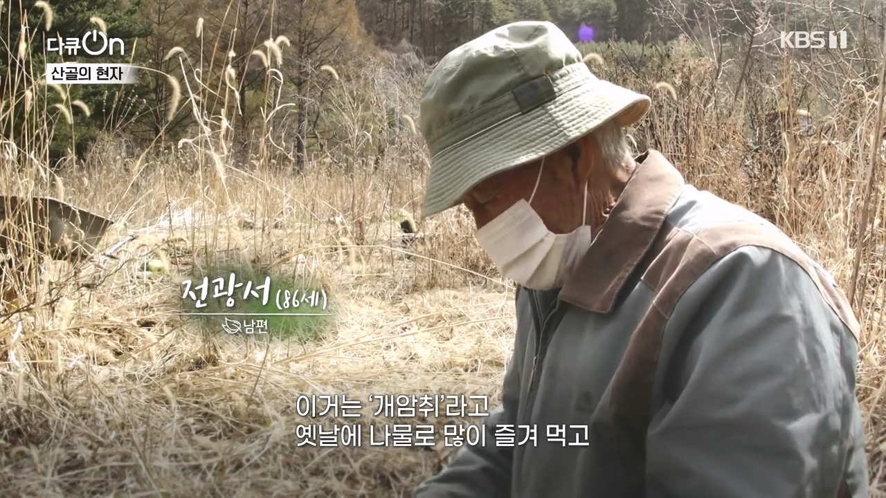 다큐 온.E245.240414p-NEXT.mp4_20240414_140152.675.jpg