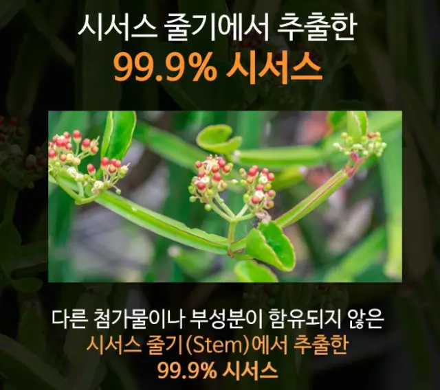 시저스&#44; 우리의 건강을 지키는 자연의 선물!
