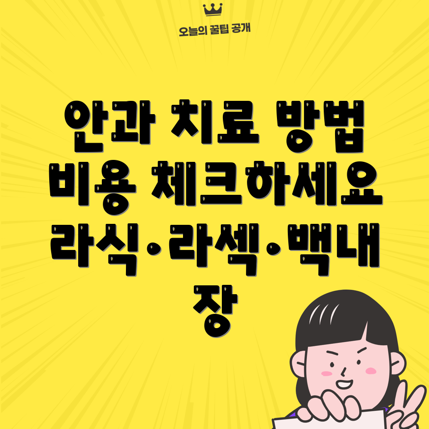 안과 비용