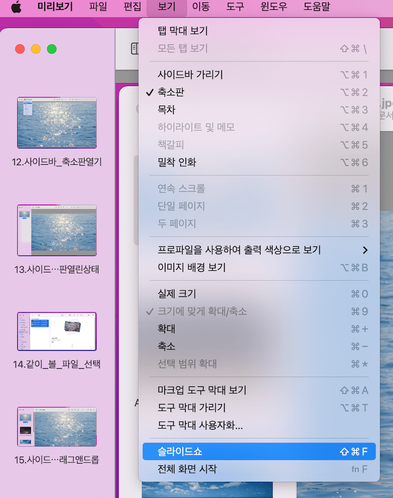 미리보기 메뉴 - 보기 - 슬라이드 쇼를 선택하면 전체화면으로 사진 감상이 가능