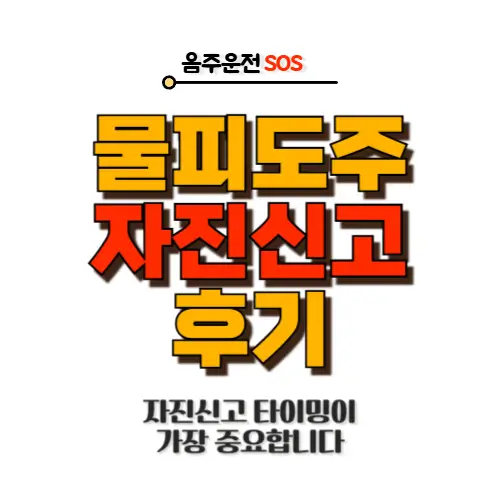 물피도주 자진신고 후기