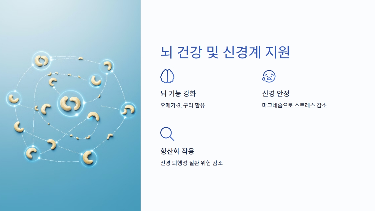 캐슈넛 효능