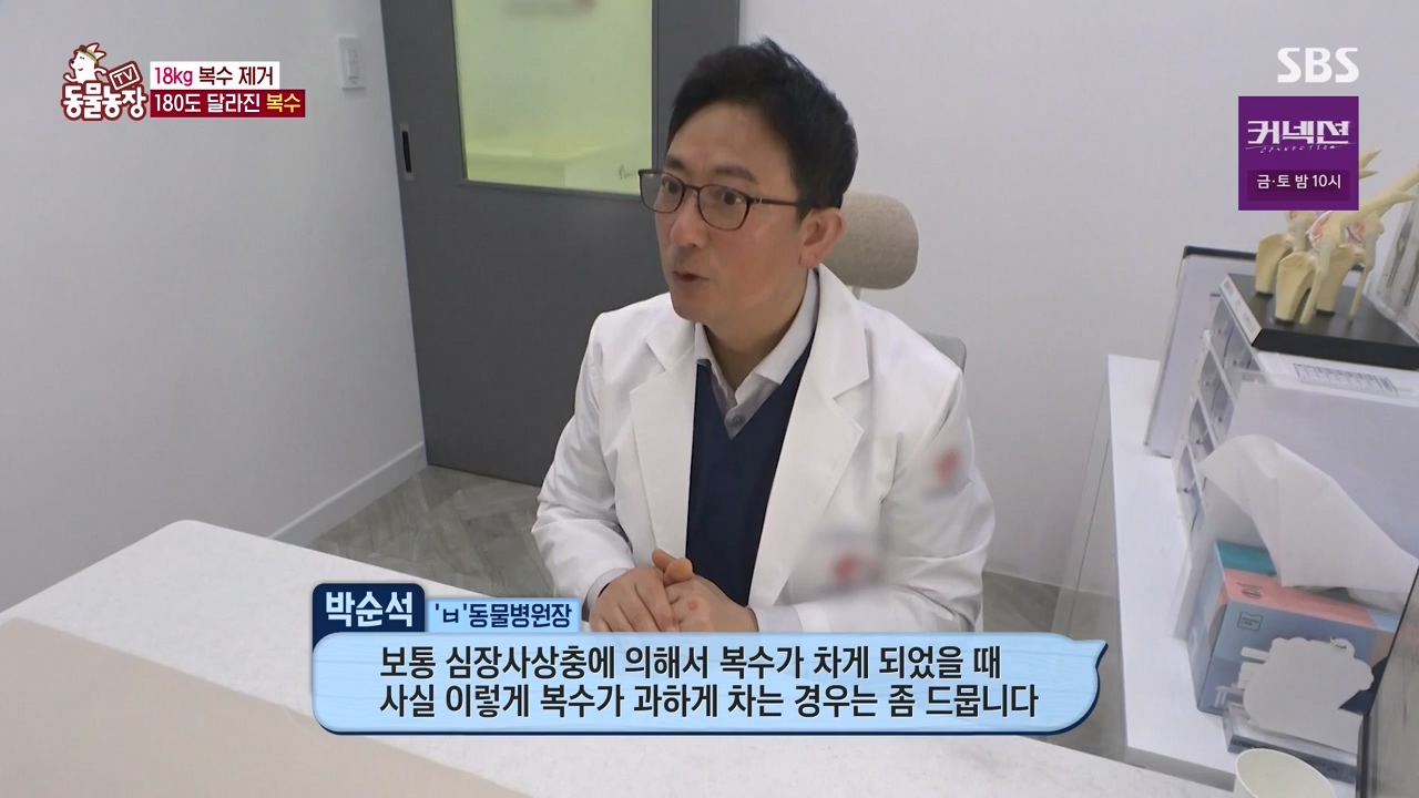 TV 동물농장.E1173.240527p-NEXT.mp4_20240526_155725.777.jpg