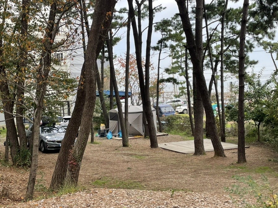 솔바다 이미지