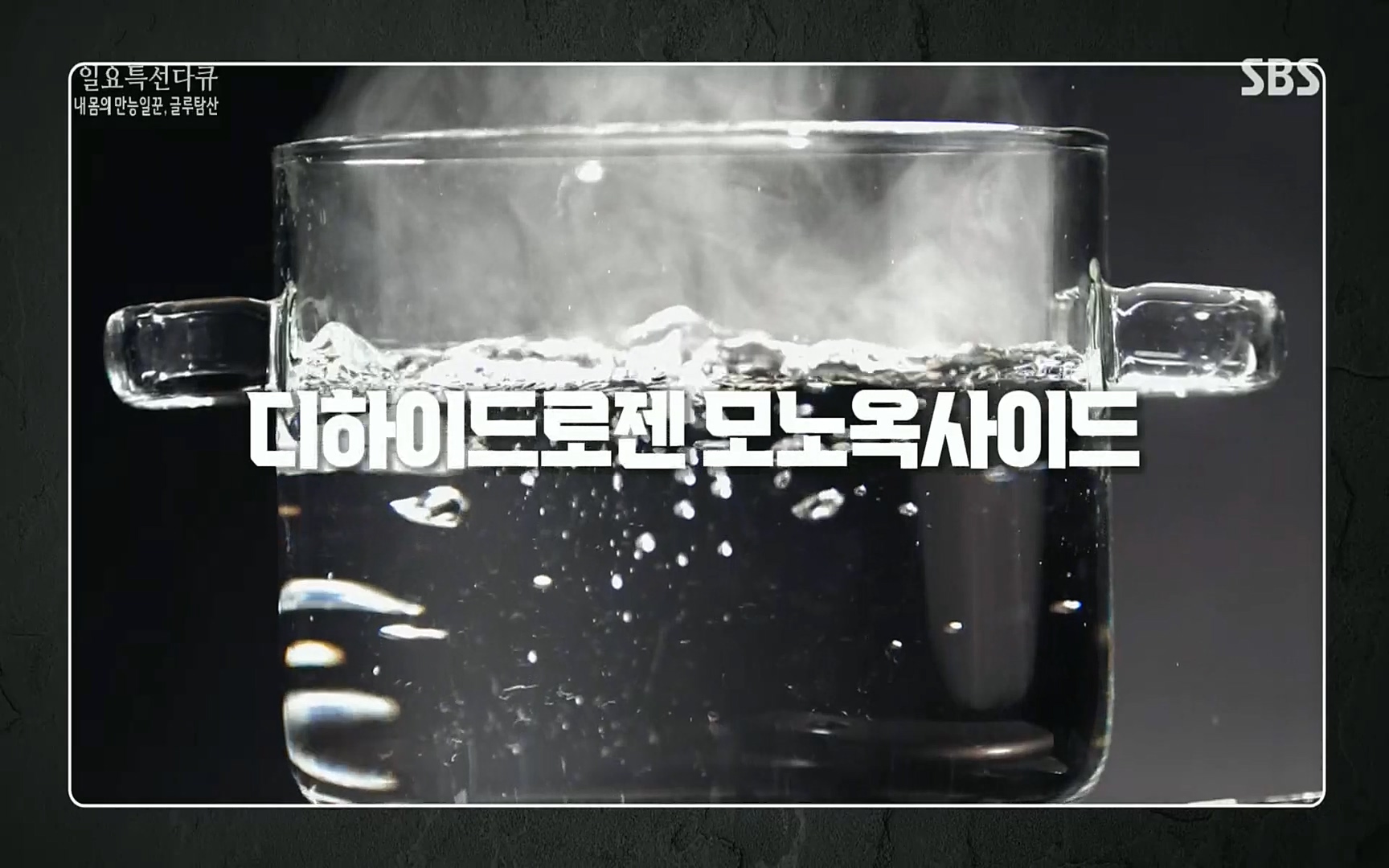 일요 특선 다큐멘터리.E283.220717p.H264-F1RST.mp4_20220718_201639.795.jpg