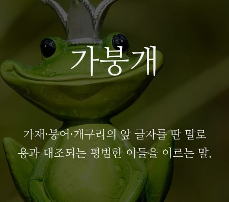  생각 없는 국민의 ‘가붕개 공화국’...엉터리 전문가들 천국?