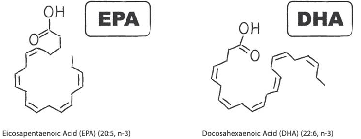 EPA&#44; DHA 화학구조