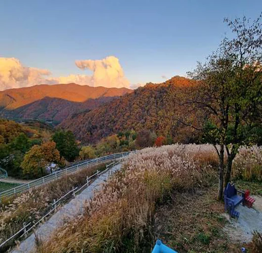 알파카골드팜