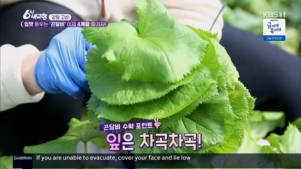 6시 내고향.E7756.230331p.H264-F1RST.mp4_20230331_212208.105.jpg