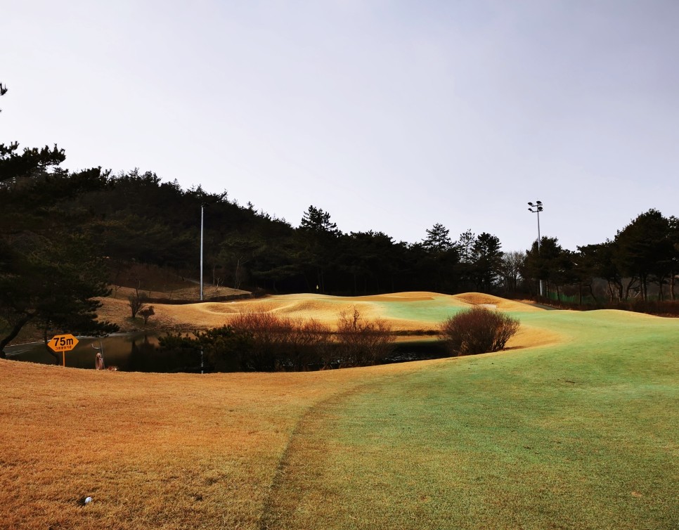 마제스티 1박2일 함평 엘리체CC 19