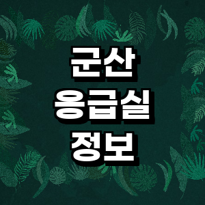 군산시 응급실