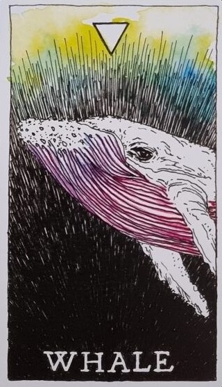  [오라클카드배우기/와일드언노운애니멀스피릿]The Wild Unknown Animal Spirit Whale  고래 해석 및 의미