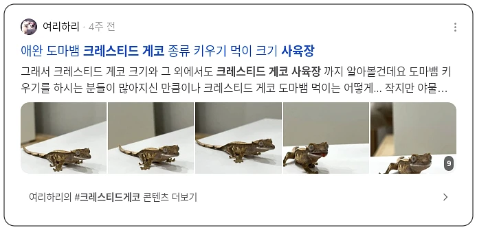 크레스티드게코 사육장_3_subsection