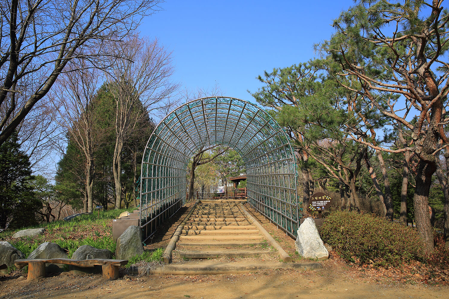 성남 은행식물원 초록커튼