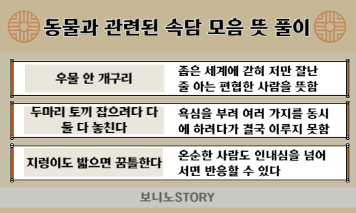 동물과-관련된-속담-모음과-뜻-풀이-사진