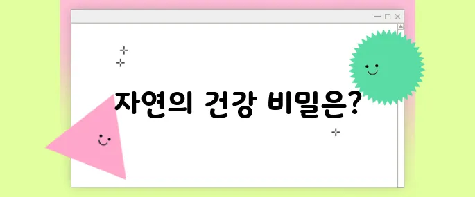 파로 곡물 효능 총정리: 건강을 바꾸는 자연의 선물