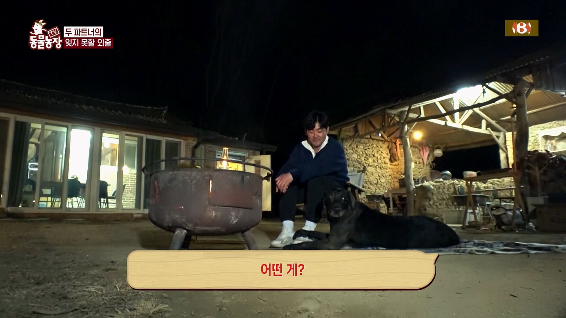 TV 동물농장.E1109.230226p.H264-F1RST.mp4_20230226_161925.555.jpg