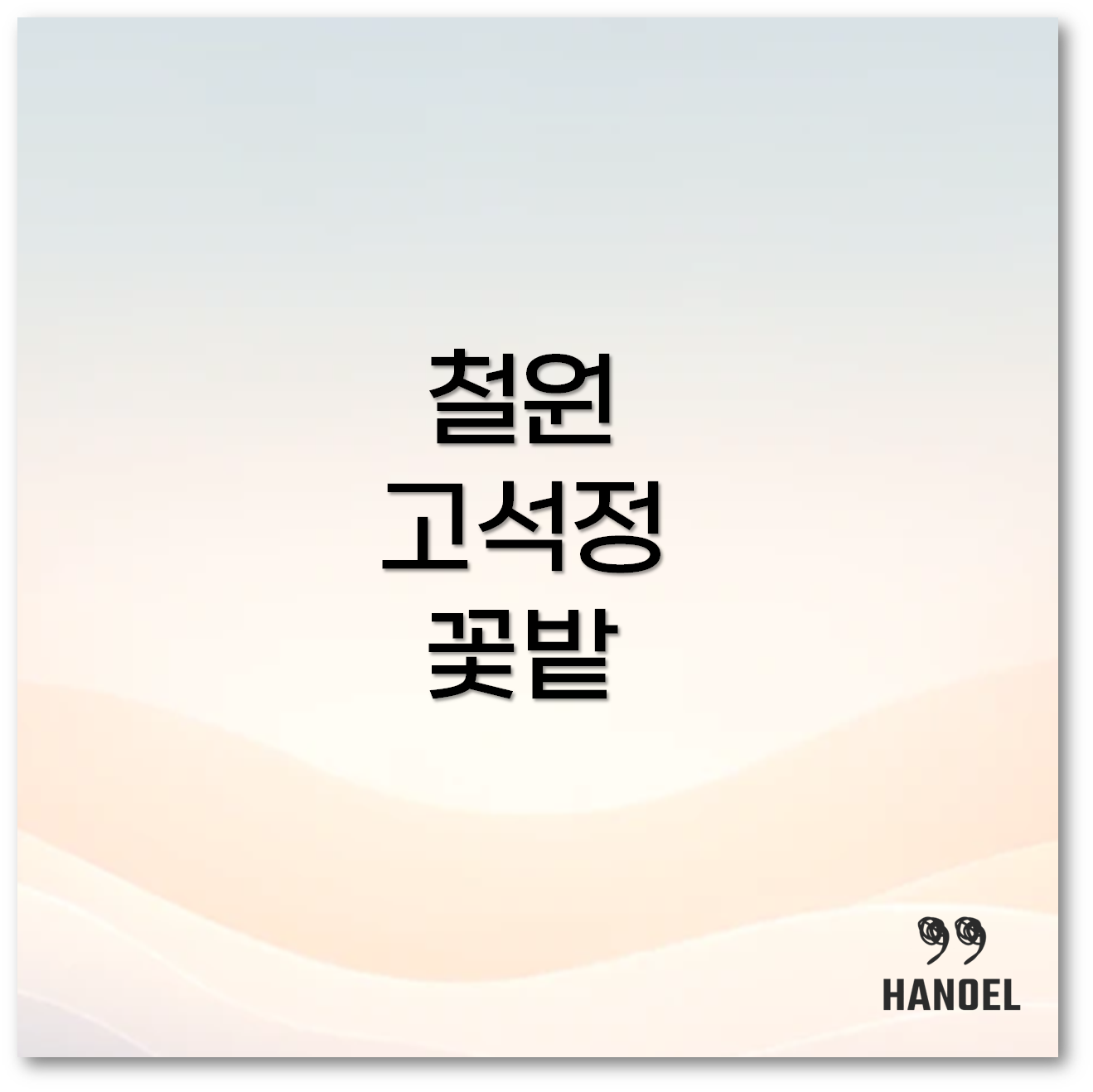 철원 고석정 꽃밭2