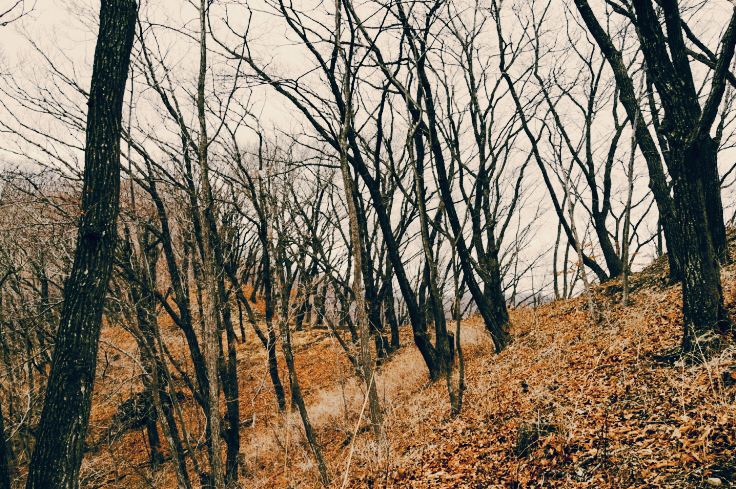 명산 강원 홍천 가리산 등산 mountain hiking