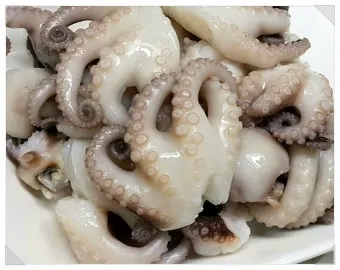 쭈꾸미 이미지