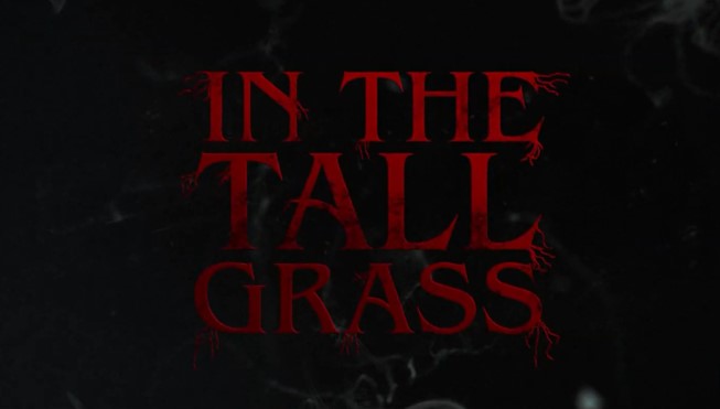  인 더 톨 그래스(In the Tall Grass, 2019)