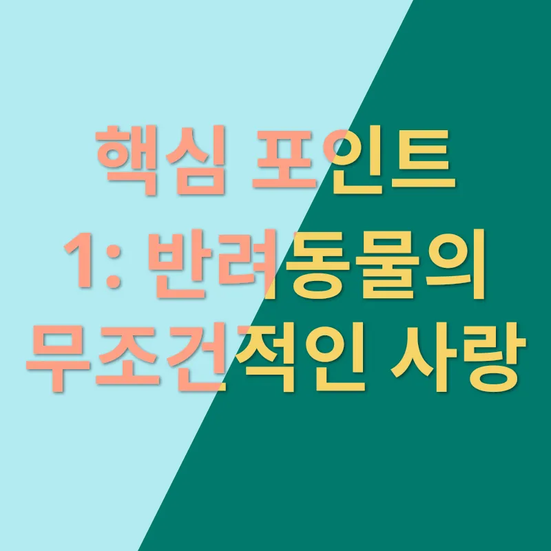 반려동물 입양 혜택_1