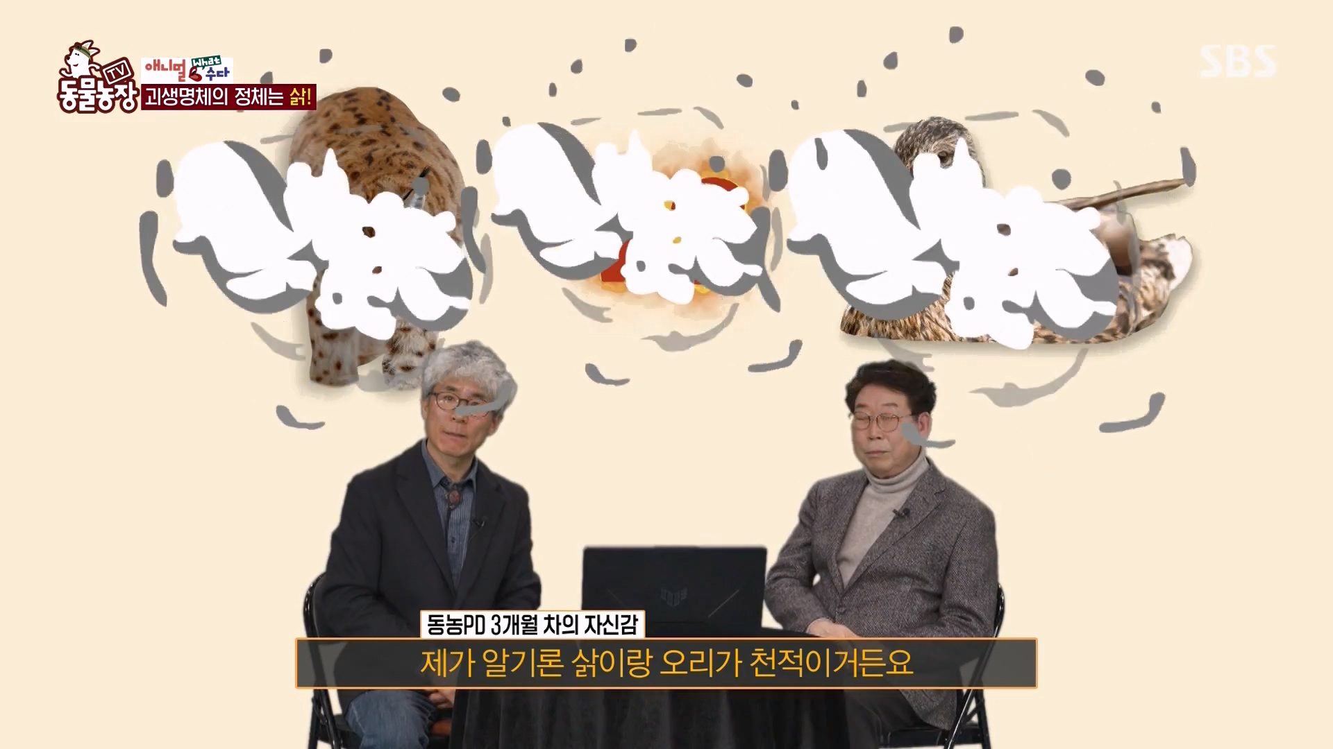 TV 동물농장.E1164.240324p-NEXT.mp4_20240324_170454.987.jpg