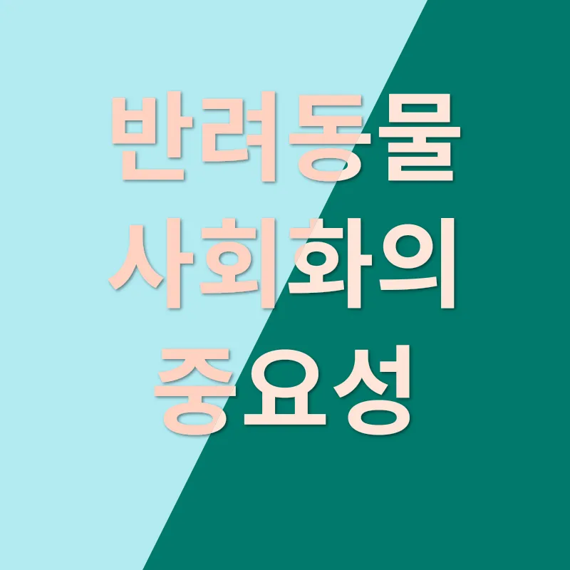 반려동물 선택 및 관리_3