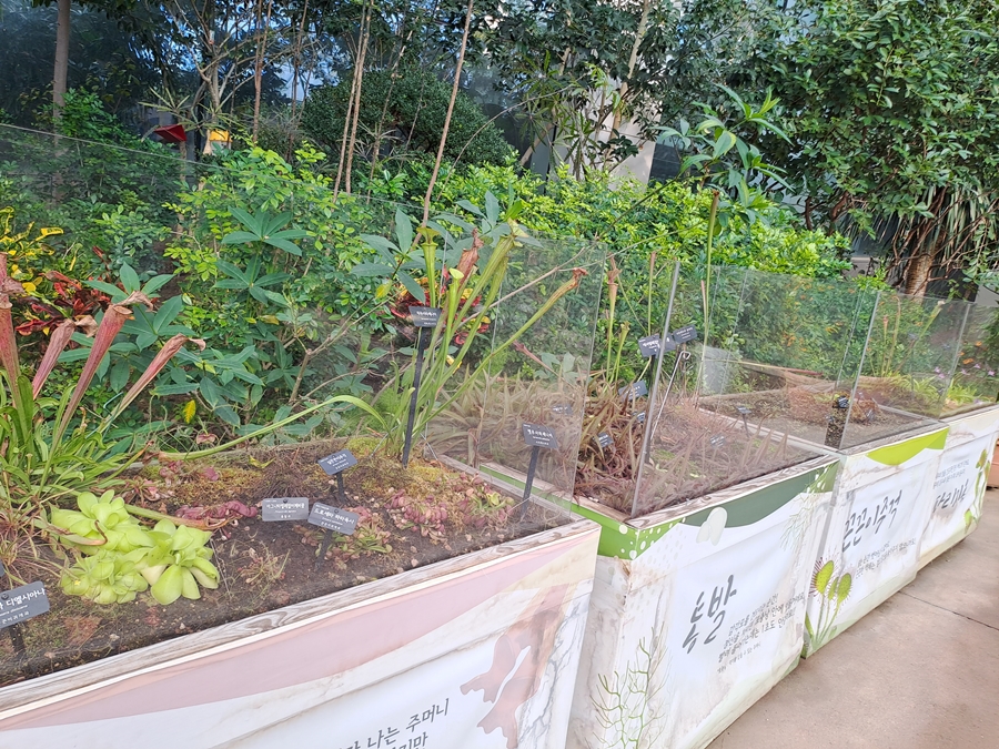 식충식물원