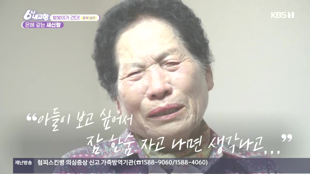 6시 내고향.E7896.231024p.H264-F1RST.mp4_20231024_203208.140.jpg